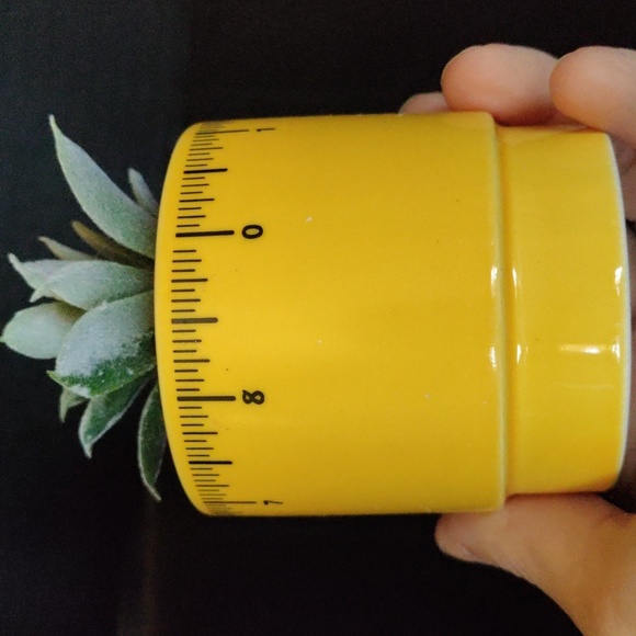 Planter for teacher with faux succulent - Picture 3 of 11